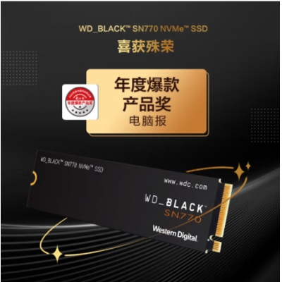 西部數(shù)據(jù)（Western Digital）1TB SSD固態(tài)硬盤 M.2接口